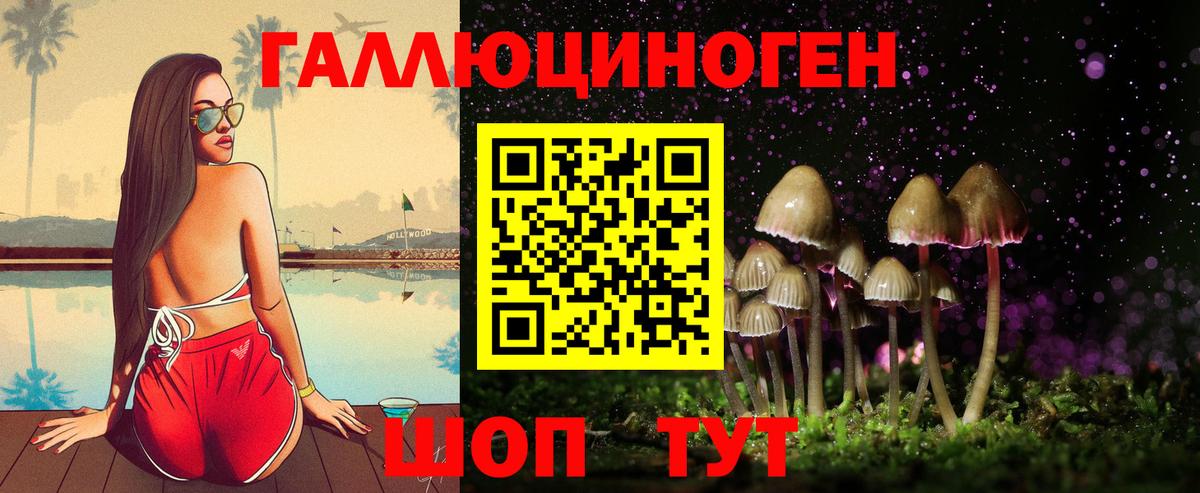 Псилоцибиновые грибы прущие грибы  где купить наркоту  Кольчугино  Вход с VPN 